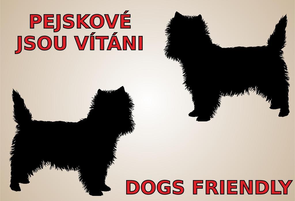 Penzion Vila Elektra Bechyne Ngoại thất bức ảnh